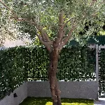 Teodora Apartment *